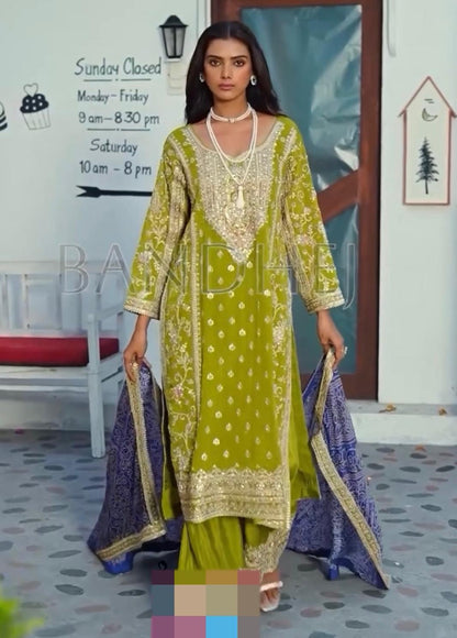 Pakistani dress